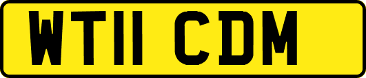 WT11CDM