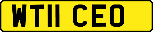WT11CEO