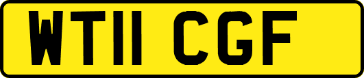 WT11CGF
