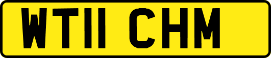 WT11CHM
