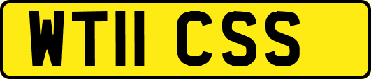 WT11CSS