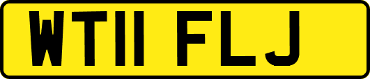 WT11FLJ