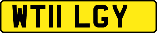 WT11LGY