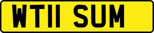 WT11SUM