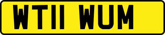WT11WUM
