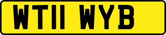 WT11WYB