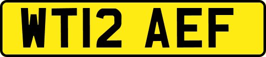 WT12AEF