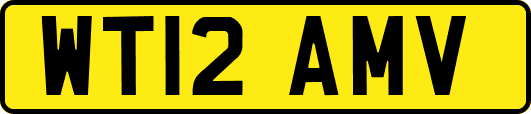 WT12AMV