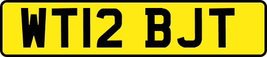 WT12BJT