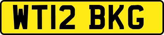 WT12BKG