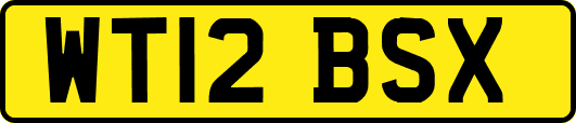 WT12BSX