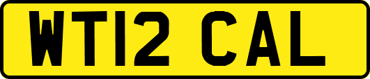 WT12CAL