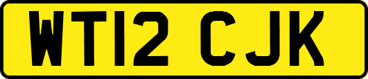 WT12CJK