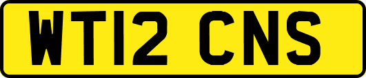 WT12CNS