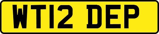 WT12DEP