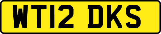 WT12DKS