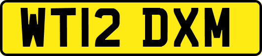 WT12DXM