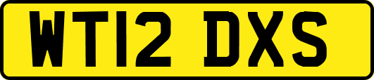 WT12DXS