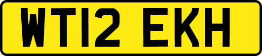 WT12EKH