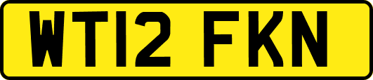WT12FKN