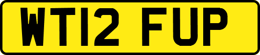 WT12FUP