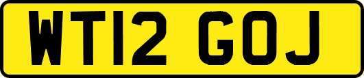 WT12GOJ