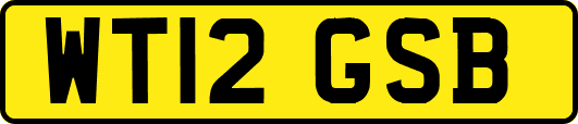 WT12GSB