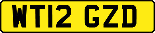 WT12GZD