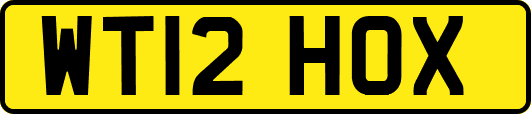 WT12HOX
