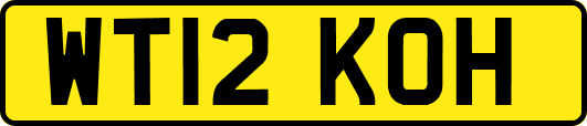WT12KOH