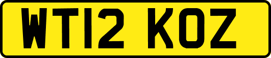 WT12KOZ