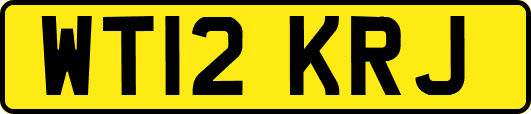 WT12KRJ
