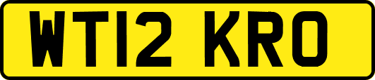 WT12KRO