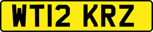WT12KRZ