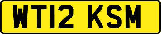 WT12KSM