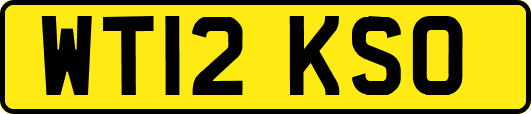 WT12KSO