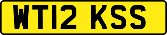 WT12KSS