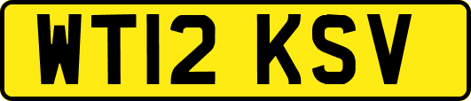 WT12KSV