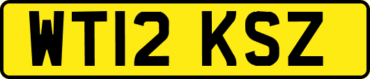 WT12KSZ