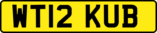 WT12KUB