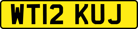 WT12KUJ
