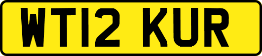 WT12KUR