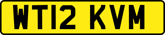 WT12KVM