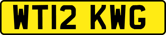 WT12KWG