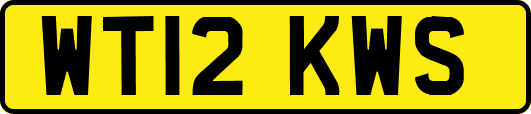 WT12KWS