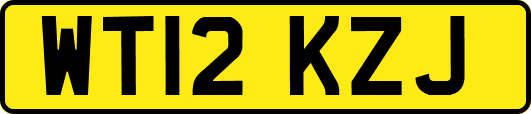 WT12KZJ