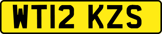 WT12KZS