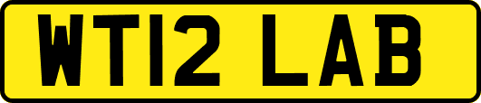 WT12LAB