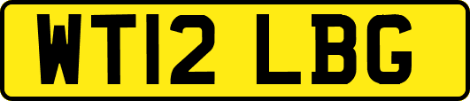 WT12LBG