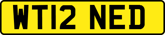 WT12NED